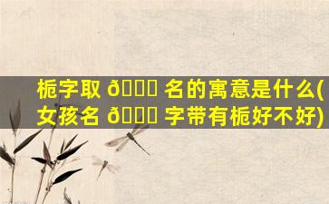 栀字取 🐞 名的寓意是什么(女孩名 🐈 字带有栀好不好)